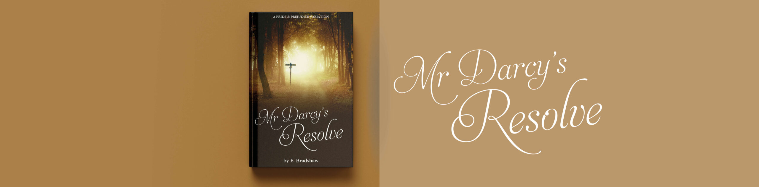 MR DARCY'S RESOLVE - E Bradshaw Book Headers