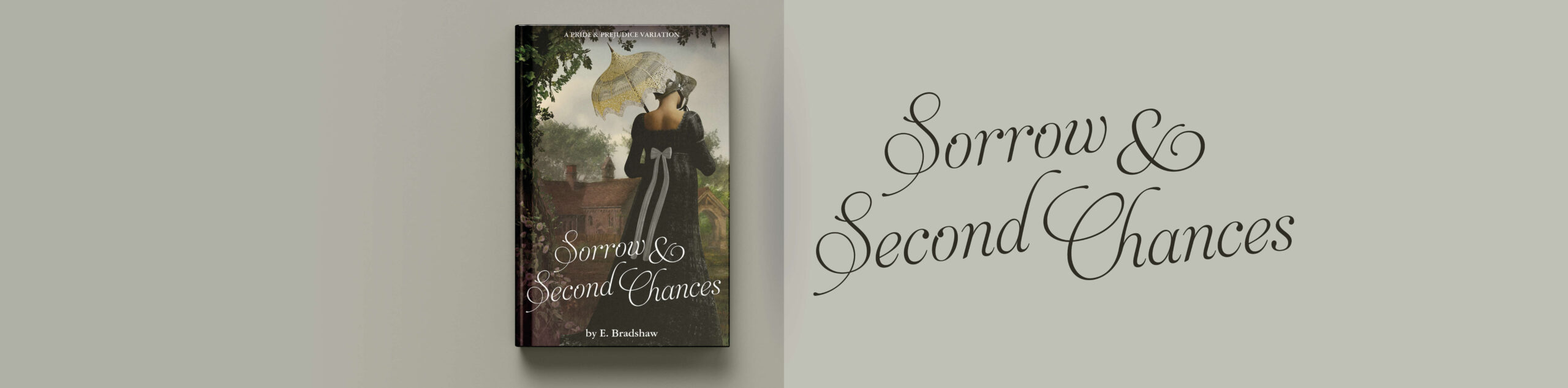 SORROW AND SECOND CHANCESE Bradshaw Book Headers